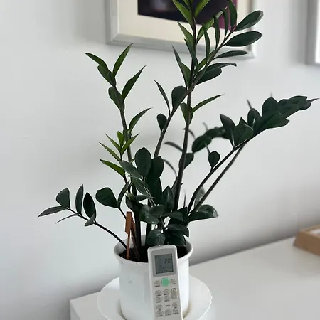 Апартаменти Eurovea Tower 21p Amazing View *